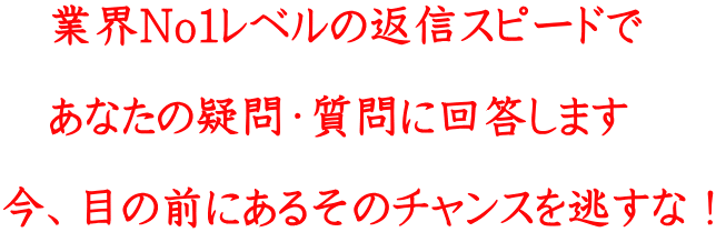 業界No1レベルの返信スピードで あなたの疑問・質問に回答します 今、目の前にあるそのチャンスを逃すな!